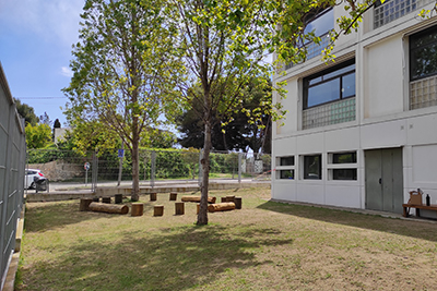 Pati - biblioteca 5